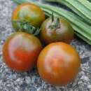 Tomate Fioletovyi Kruglyi - Solanum Lycopersicum - BIOSAMEN