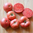 Tomate Ponderosa Pink - Solanum Lycopersicum - BIOSAMEN