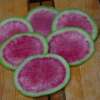 Rettich Watermelon / Misato Rose - Raphanus sativus - BIOSAMEN