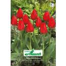 Frühe Tulpe Red Revival - Tulipa - 10 Zwiebeln