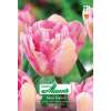 Frühe. gefüllte Tulpe Foxtrot - Tulipa - 8 Zwiebeln