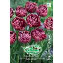 Späte. gefüllte Tulpe Dream Touch - Tulipa - 10...