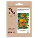 Orangerotes Habichtskraut - Hieracium aurantiacum - BIOSAMEN