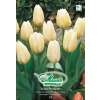 Fosteriana-Tulpe Purissima - Tulipa - 8 Zwiebeln