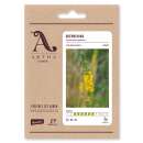 Kleiner Odermennig - Agrimonia eupatoria - Demeter...