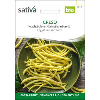 Wachsbohne Creso - Phaseolus vulgaris  - BIOSAMEN