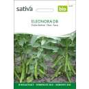 Dicke Bohne, Puffbohne Eleonora DB - Vicia faba major  -...