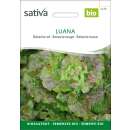 Bataviasalat Luana - Lactuca sativa- BIOSAMEN