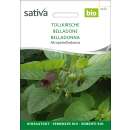 Tollkirsche - Atropa belladonna - BIOSAMEN