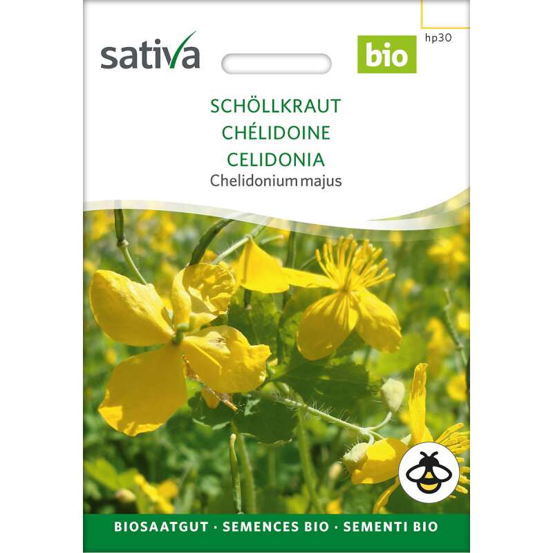 Schöllkraut, Goldwurz - Chelidonium majus - BIOSAMEN