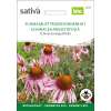 Sonnenhut, schmalblättriger - Echinacea angustifolia - BIOSAMEN