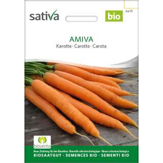 Karotte AMIVA (SAT26) - Daucus carota - BIOSAMEN