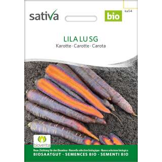 Karotte Lila Lu SG - Daucus carota - BIOSAMEN