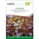 Eichblattsalat Cantarix - Lactuca sativa - BIOSAMEN
