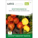Rande, Gelbe Bete Wintersonne SG - Beta vulgaris conditiva - BIOSAMEN