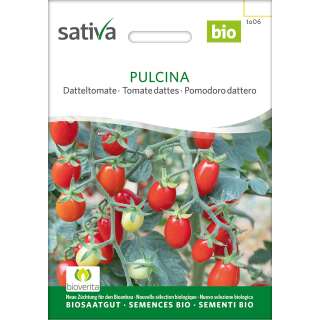Tomate, Datteltomate Pulcina - Solanum lycopersicum -...