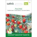 Tomate, Datteltomate Pulcina - Solanum lycopersicum - BIOSAMEN