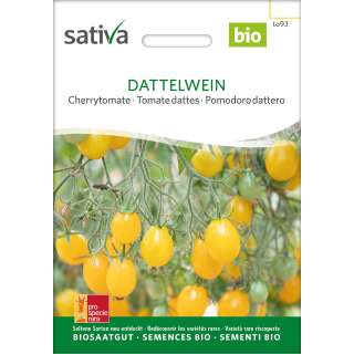 Tomate, Cherrytomate Dattelwein - Solanum lycopersicum -...