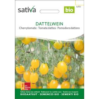 Tomate, Cherrytomate Dattelwein - Solanum lycopersicum - BIOSAMEN