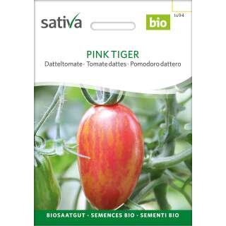 Tomate Pink Tiger - Solanum lycopersicum - BIOSAMEN