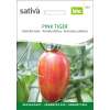 Tomate Pink Tiger - Solanum lycopersicum - BIOSAMEN