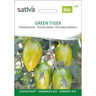 Tomate Green Tiger - Solanum lycopersicum - BIOSAMEN