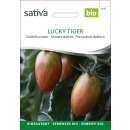 Tomate Lucky Tiger - Solanum lycopersicum - BIOSAMEN