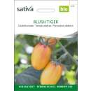 Tomate Blush Tiger - Solanum lycopersicum - BIOSAMEN