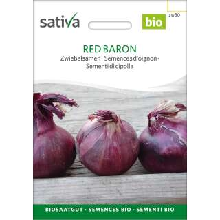 Zwiebel Red Baron - Allium cepa - BIOSAMEN