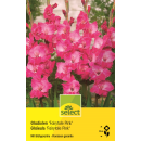 Gladiolen Fairytale Pink - Gladiolus - 10 Knollen