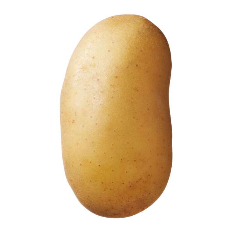 Charlotte - Kartoffeln