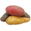 Tricolor - Kartoffeln 15 Stück