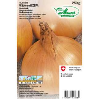 Wädenswiler ZEFA - Allium cepa - Steckzwiebeln