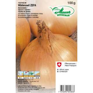 Wädenswiler ZEFA - Allium cepa - Steckzwiebeln 100 g