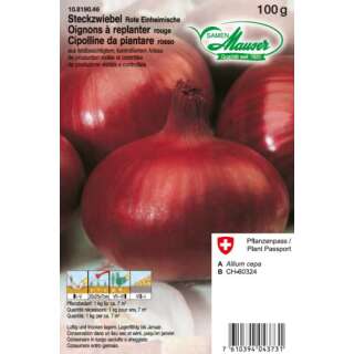 Rote Einheimische - Allium cepa - Steckzwiebeln 100 g