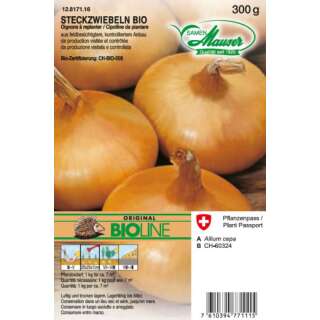 Gelbe Zwiebel - Allium cepa - Bio Steckzwiebeln 300 g