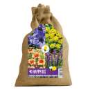 Happy Bee in Jute Mixed Assoriment - 40 Zwiebeln