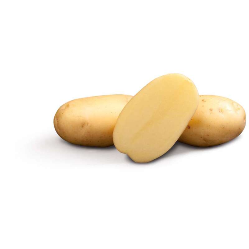 Vitabella Bio - Saatkartoffeln 1 kg