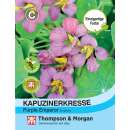 Kapuzinerkresse Purple Emperor - Tropaeolum majus - Samen
