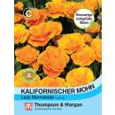 Kalifornischer Mohn Lady Marmalade - Eschscholzia mexicana - Samen