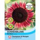 Sonnenblume Ms Mars - Helianthus annuus - Samen