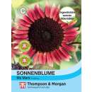 Sonnenblume Ms Mars - Helianthus annuus - Samen