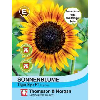 Sonnenblume Tiger Eye F1 - Helianthus annuus - Samen