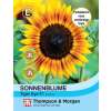 Sonnenblume Tiger Eye F1 - Helianthus annuus - Samen