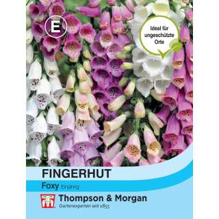 Fingerhut Foxy - Digitalis purpurea - Samen