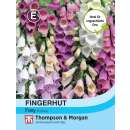 Fingerhut Foxy - Digitalis purpurea - Samen