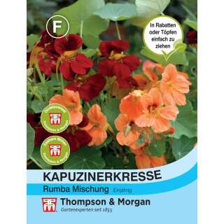 Kapuzinerkresse Rumba Mischung - Tropaeolum minus - Samen