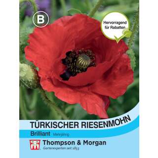 Mohn, Türkischer Riesenmohn Brilliant - Papaver orientale - Samen