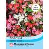 Begonie Options Mixed - Begonia semperflorens - Samen
