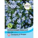 Vergissmeinnicht Blue Ball - Myosotis sylvatica - Samen